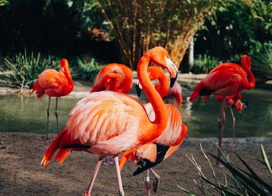 Child Centric Vacation Ideas In Southern California