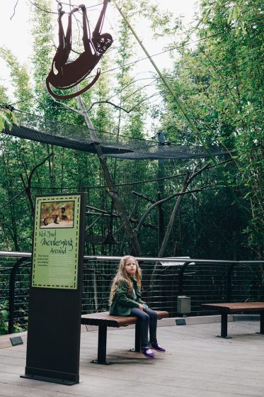 Child Centric Vacation Ideas In Southern California