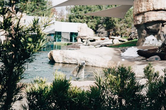 Child Centric Vacation Ideas In Southern California