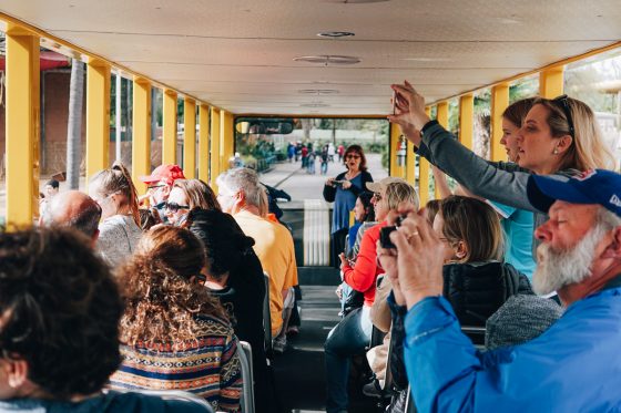 Child Centric Vacation Ideas In Southern California