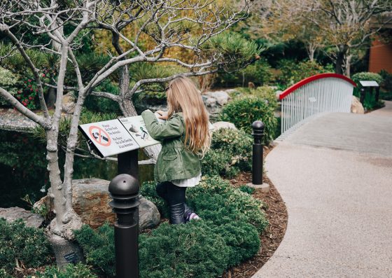 Child Centric Vacation Ideas In Southern California