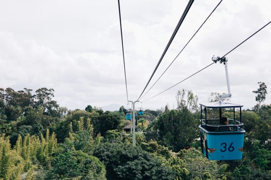 Child Centric Vacation Ideas In Southern California