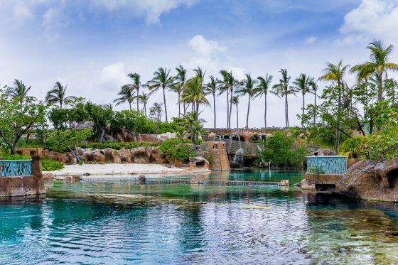 Quick Guide To Family Friendly Nassau, Bahamas Quick Guide To Family Friendly Nassau, Bahamas