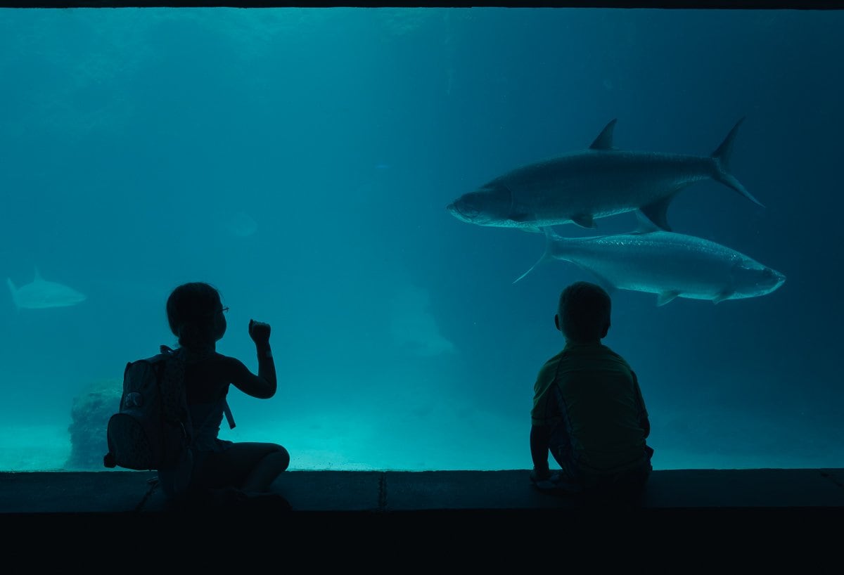 Quick Guide To Family Friendly Nassau, Bahamas Quick Guide To Family Friendly Nassau, Bahamas