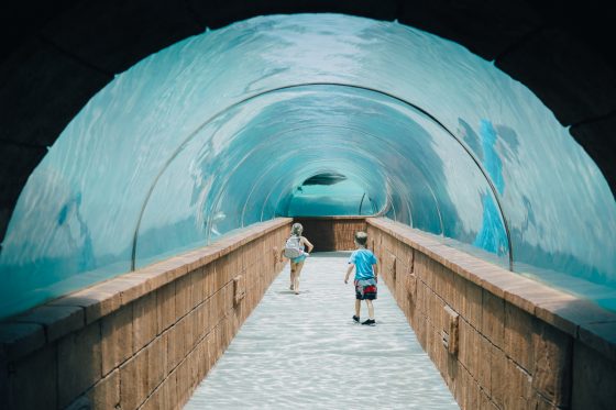 Quick Guide To Family Friendly Nassau, Bahamas Quick Guide To Family Friendly Nassau, Bahamas