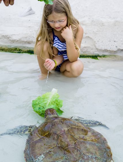 Quick Guide To Family Friendly Nassau, Bahamas Quick Guide To Family Friendly Nassau, Bahamas