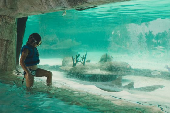 Quick Guide To Family Friendly Nassau, Bahamas Quick Guide To Family Friendly Nassau, Bahamas