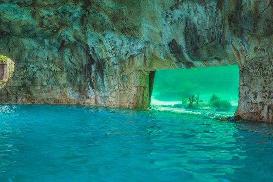 Quick Guide To Family Friendly Nassau, Bahamas Quick Guide To Family Friendly Nassau, Bahamas