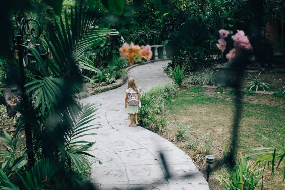 Quick Guide To Family Friendly Nassau, Bahamas Quick Guide To Family Friendly Nassau, Bahamas