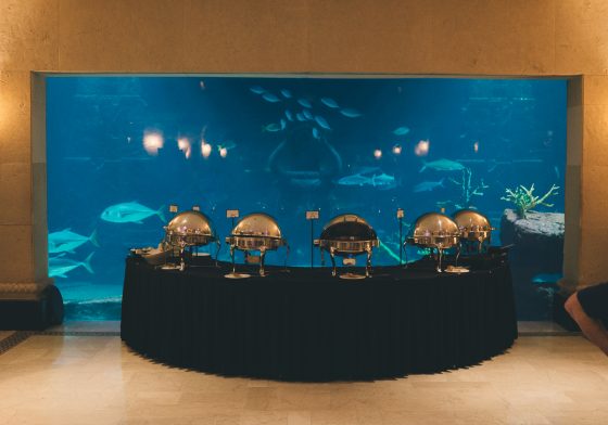 Quick Guide To Family Friendly Nassau, Bahamas Quick Guide To Family Friendly Nassau, Bahamas