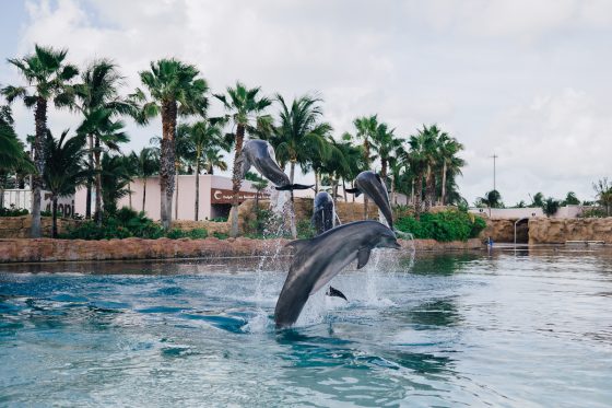 Quick Guide To Family Friendly Nassau, Bahamas