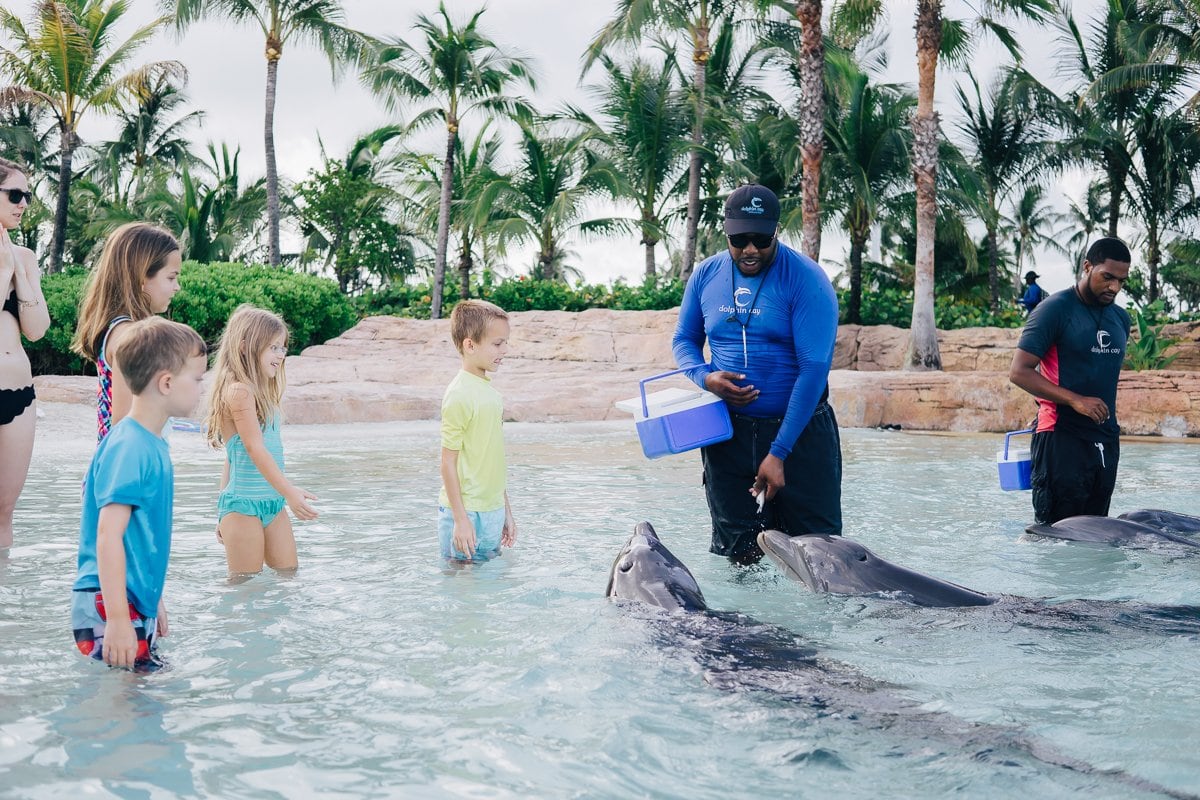 Quick Guide To Family Friendly Nassau, Bahamas Quick Guide To Family Friendly Nassau, Bahamas