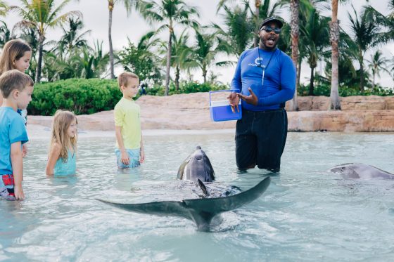 Quick Guide To Family Friendly Nassau, Bahamas