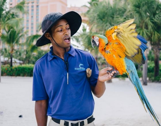 Quick Guide To Family Friendly Nassau, Bahamas Quick Guide To Family Friendly Nassau, Bahamas