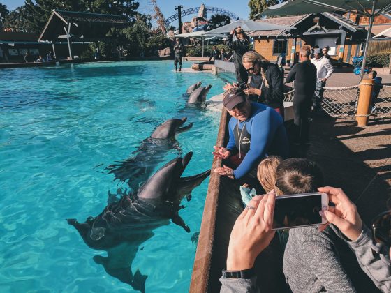 Child Centric Vacation Ideas In Southern California