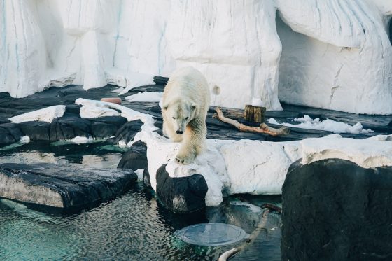 Child Centric Vacation Ideas In Southern California