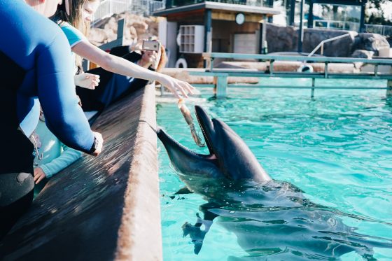 Child Centric Vacation Ideas In Southern California