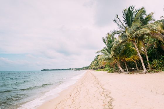 Welcome To Hamanasi Adventure And Dive Resort In Belize Welcome To Hamanasi Adventure And Dive Resort In Belize