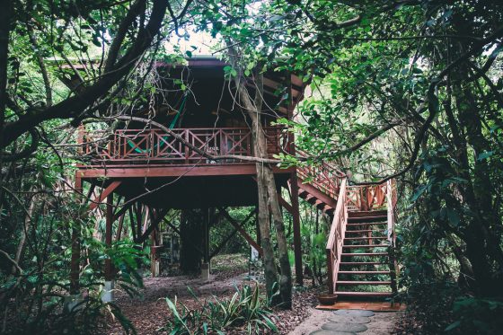 Welcome To Hamanasi Adventure And Dive Resort In Belize Welcome To Hamanasi Adventure And Dive Resort In Belize