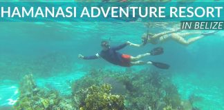 Welcome to Hamanasi Adventure and Dive Resort in Belize Welcome To Hamanasi Adventure And Dive Resort In Belize