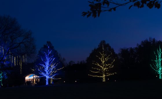 Wilmington, De Historically Family Friendly & A Shopper’s Haven Wilmington, De Historically Family Friendly & A Shopper’s Haven