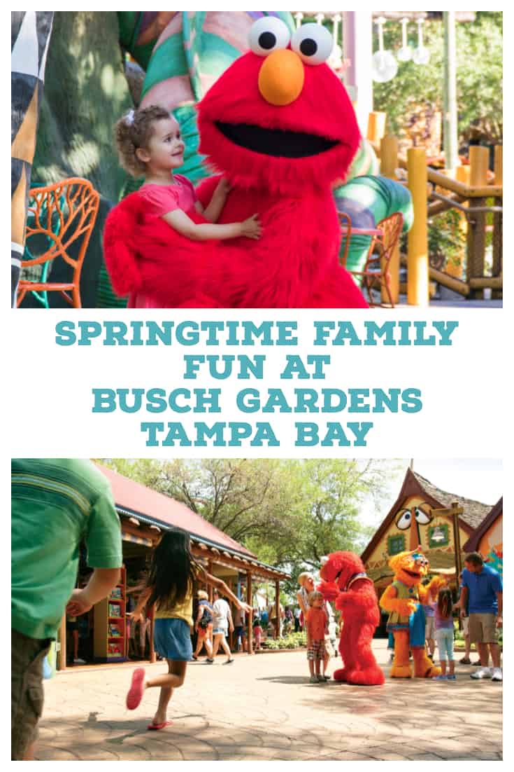 Springtime Family Fun At Busch Gardens Tampa Bay