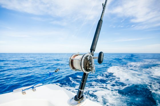 What Not To Miss In Mazatlan, Mexico What Not To Miss In Mazatlan, Mexico