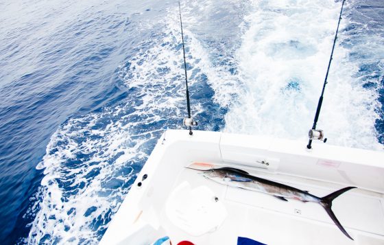 What Not To Miss In Mazatlan, Mexico What Not To Miss In Mazatlan, Mexico