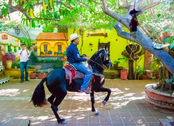 What Not To Miss In Mazatlan, Mexico What Not To Miss In Mazatlan, Mexico