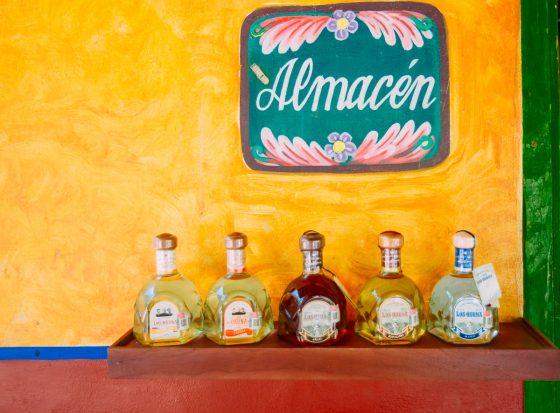 What Not To Miss In Mazatlan, Mexico What Not To Miss In Mazatlan, Mexico