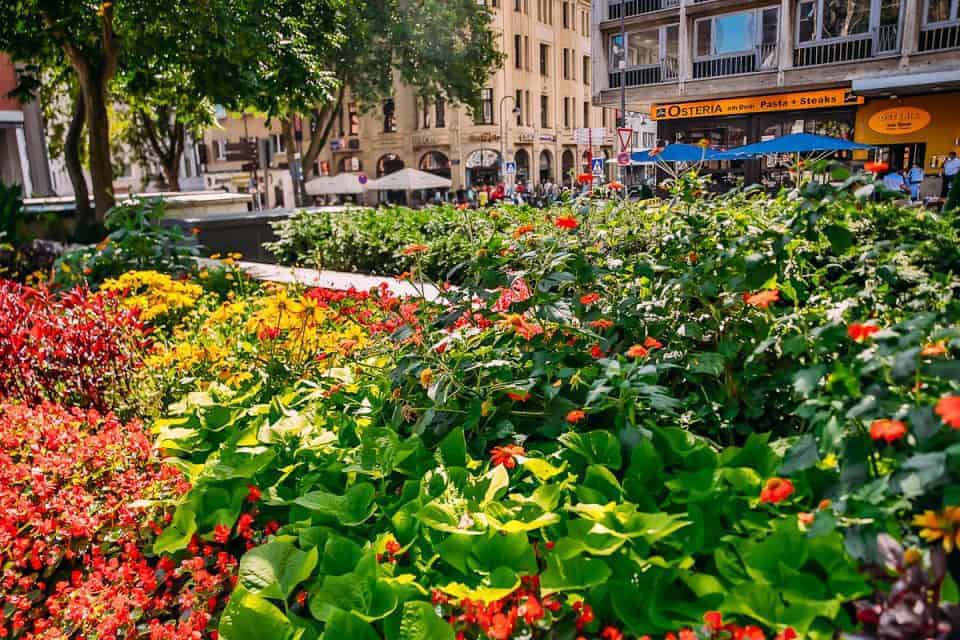 Rhine River Cruise On Amakristina And The Enchanting River Rhine