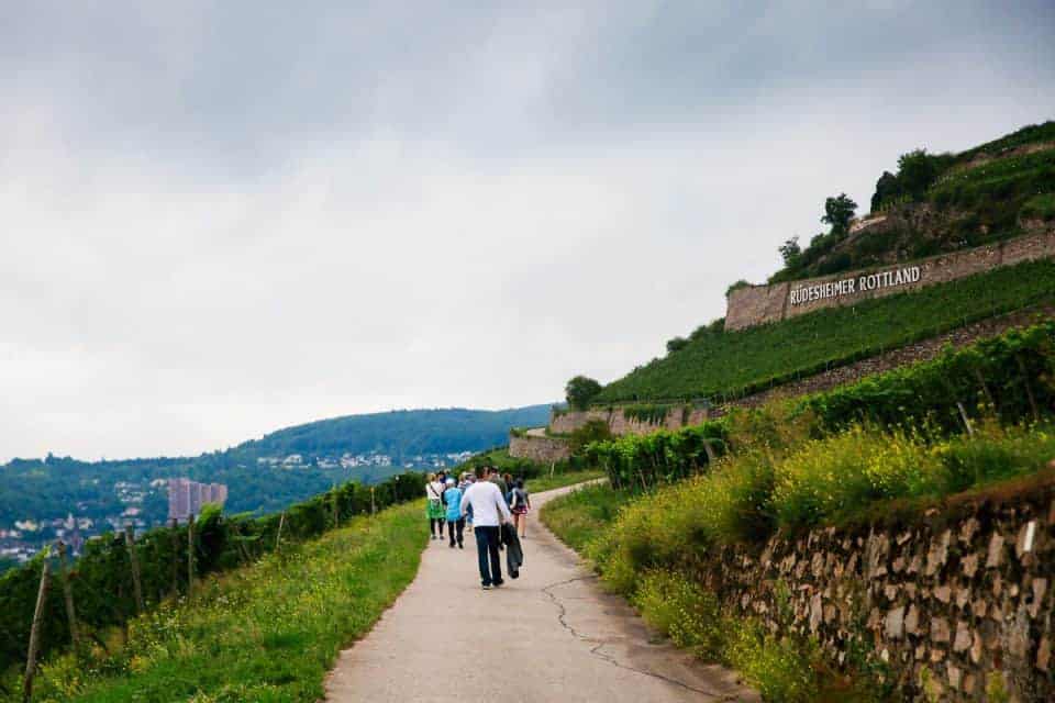 Rhine River Cruise On Amakristina And The Enchanting River Rhine