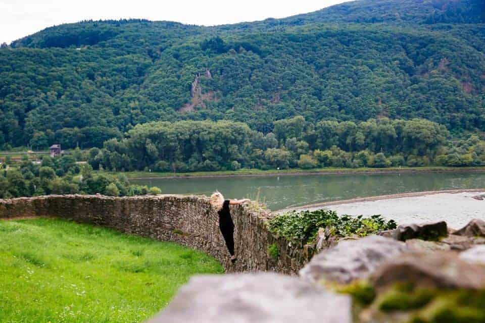 Rhine River Cruise On Amakristina And The Enchanting River Rhine