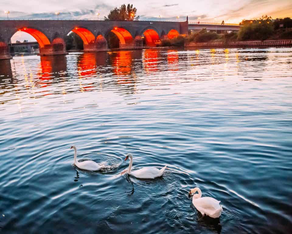 Rhine River Cruise On Amakristina And The Enchanting River Rhine