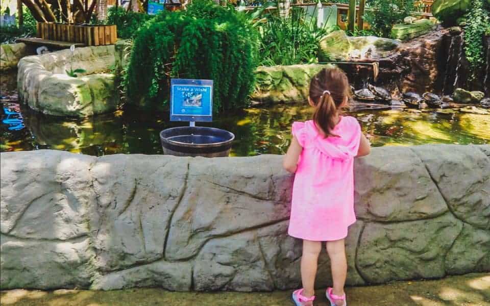 3 Family Experiences In Panama City Beach