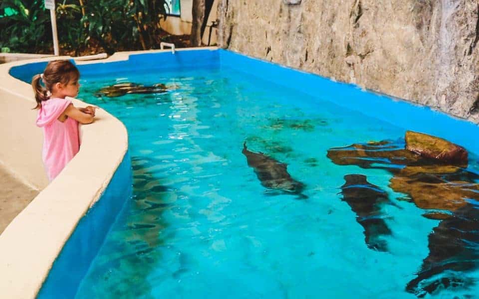 3 Family Experiences In Panama City Beach