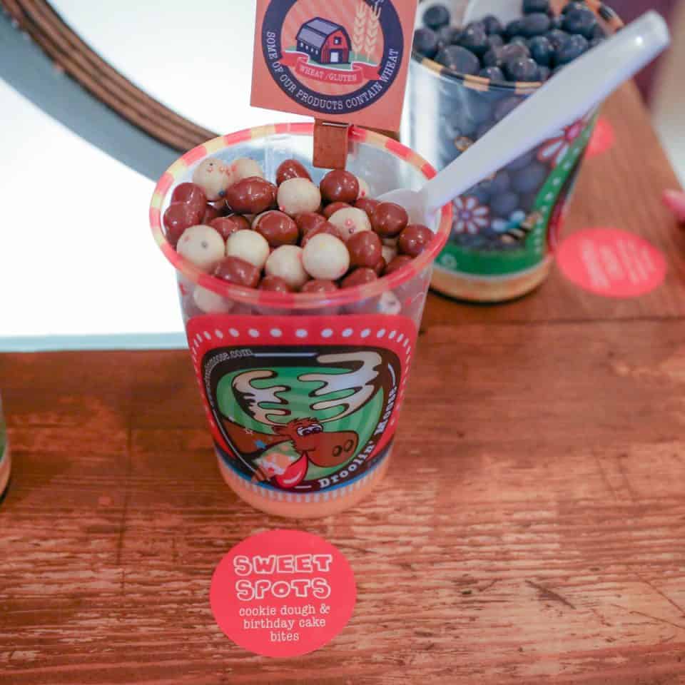 A Minnesota Staycation For The Entire Family: Swimming, Sweets, And Stem!