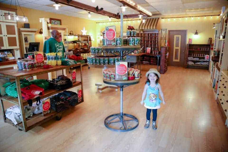 A Minnesota Staycation For The Entire Family: Swimming, Sweets, And Stem!