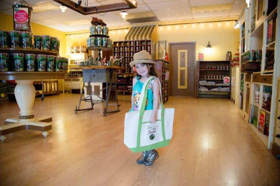 A Minnesota Staycation For The Entire Family: Swimming, Sweets, And Stem!