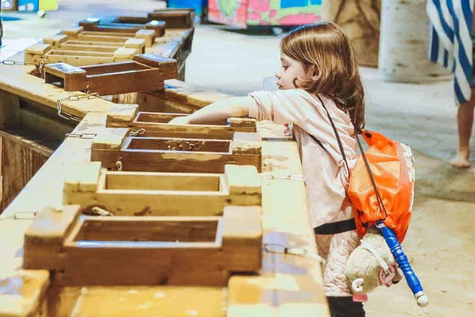 A Minnesota Staycation For The Entire Family: Swimming, Sweets, And Stem!