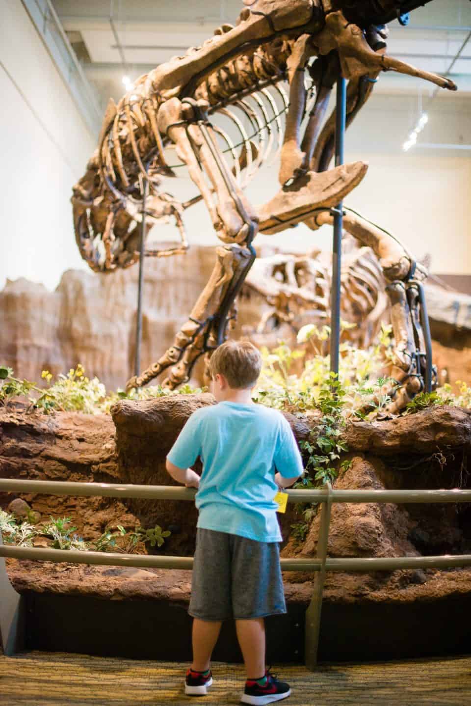 5 Reasons To Plan Your Next Family Vacation In Pittsburgh
