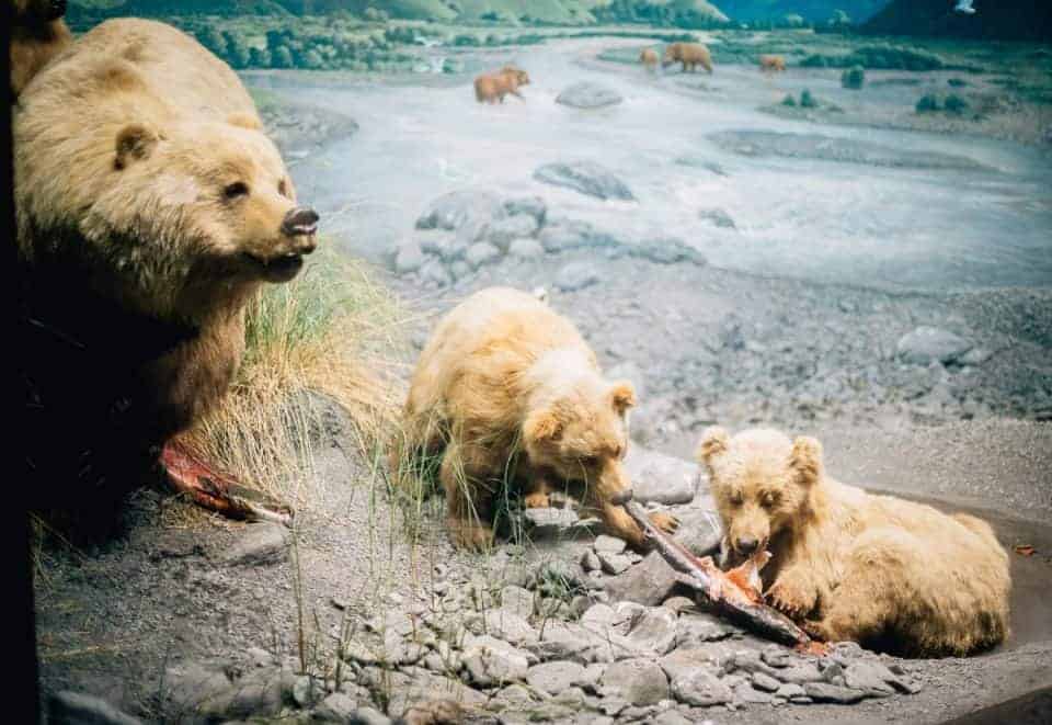 5 Reasons To Plan Your Next Family Vacation In Pittsburgh