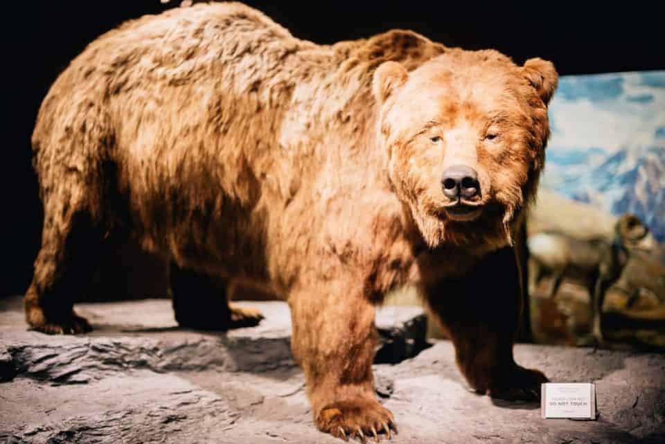 5 Reasons To Plan Your Next Family Vacation In Pittsburgh