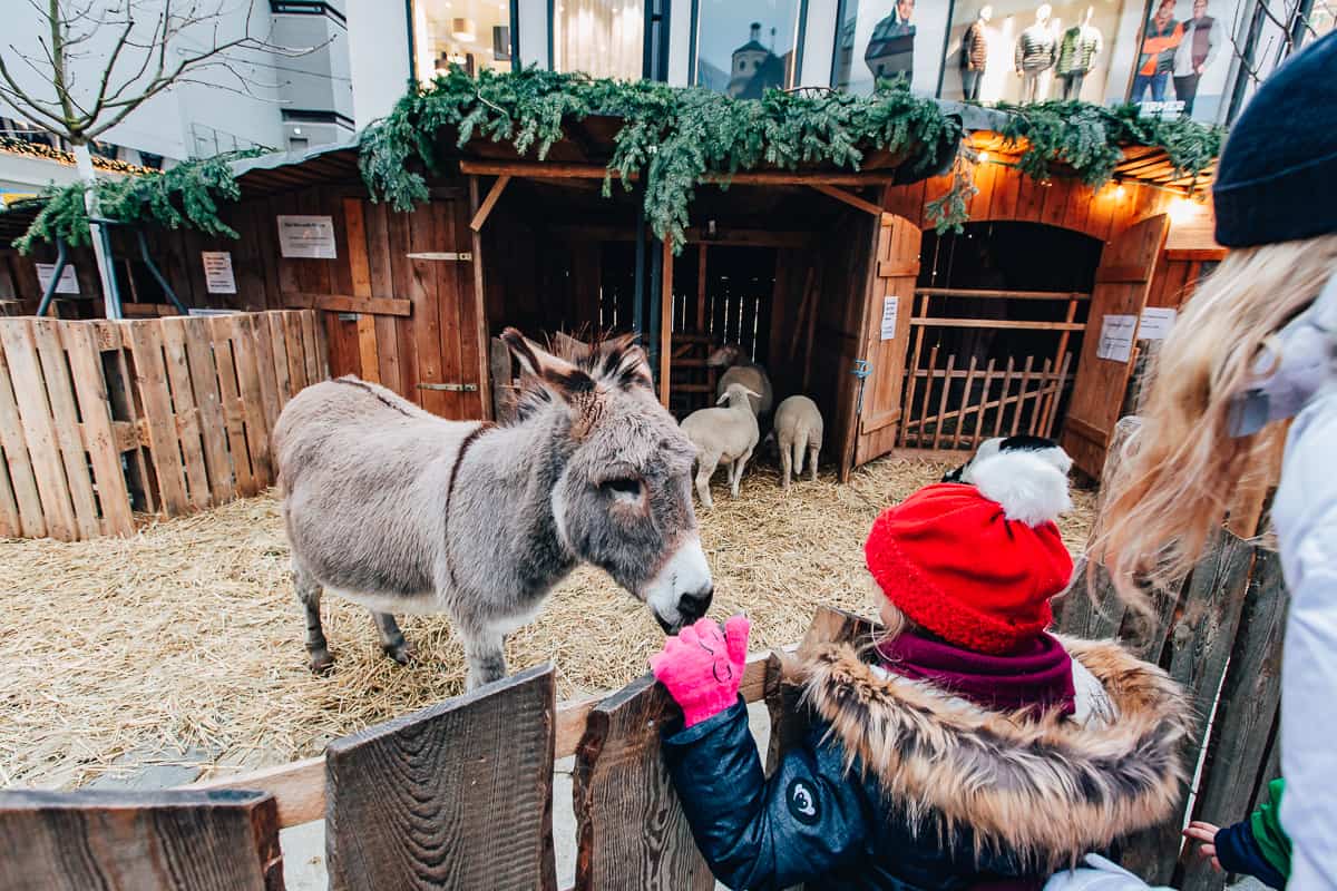 German Holidays: Best Cities To Visit In Southwest Germany