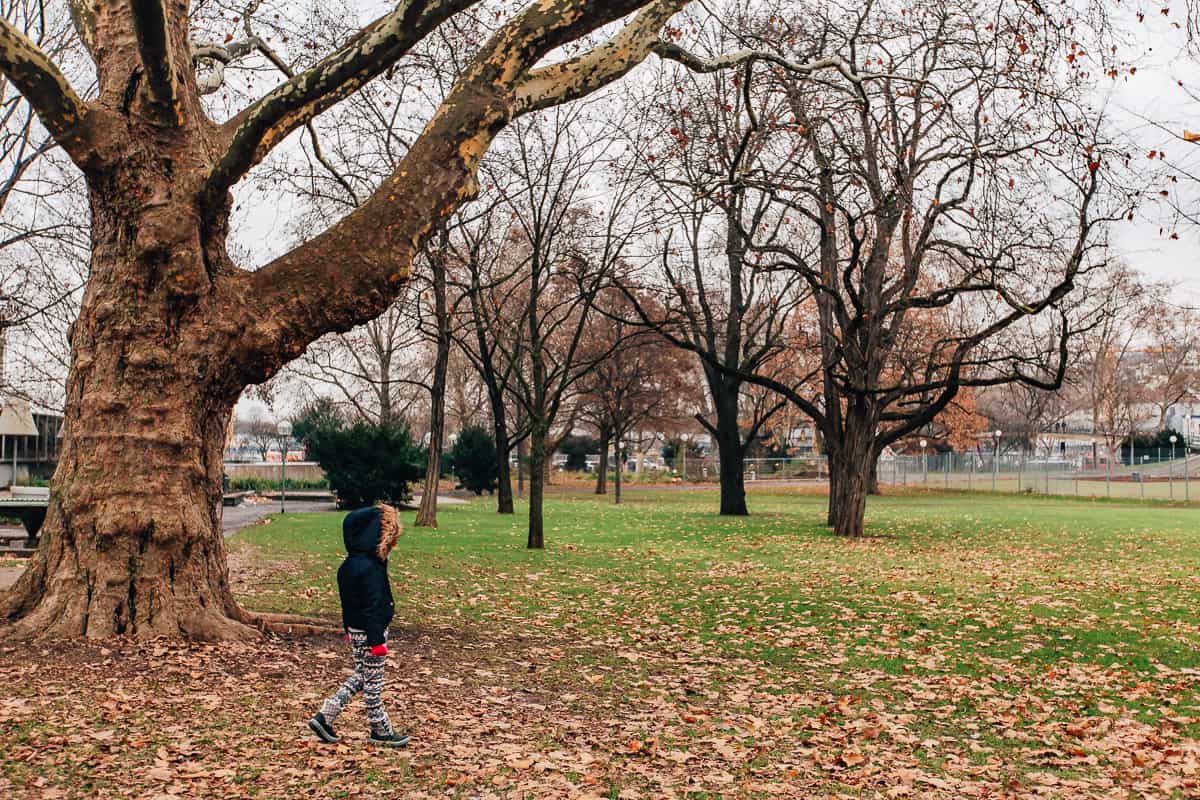 German Holidays: Best Cities To Visit In Southwest Germany