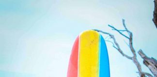 Enjoying Paradise with your Love: Couple’s Activities in Maui Enjoying Paradise With Your Love: Couple’s Activities In Maui