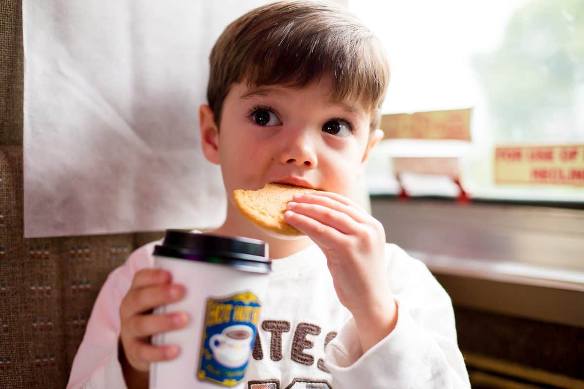 Best Christmas Events In Orlando, Florida