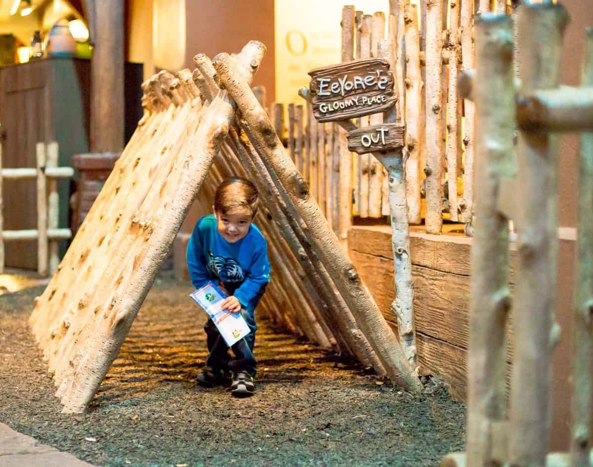 Best Christmas Events In Orlando, Florida