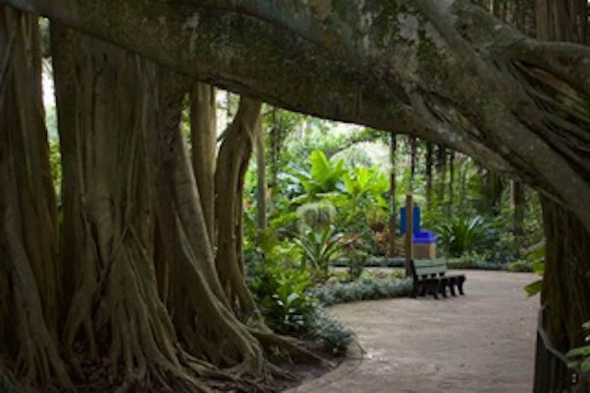 Best Christmas Events In Orlando, Florida