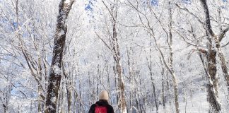 A Secluded Couple’s Getaway at Mont-Megantic A Secluded Couple’s Getaway At Mont-megantic